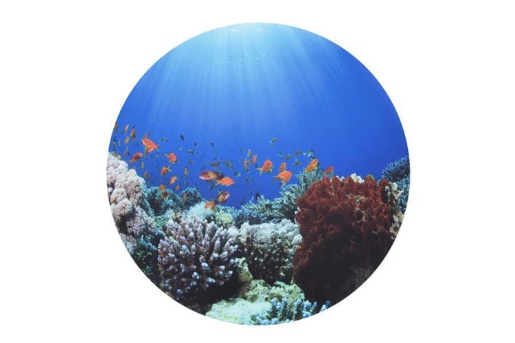 Mata do stolików sensorycznych podwodny świat