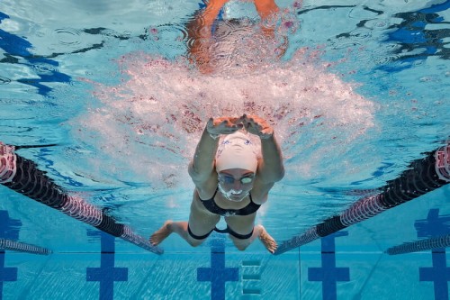 Strechcordz Knee Elastic opaska na kolana dla żabkarzy