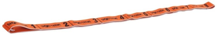 SPORT-THIEME ELASTIBAND