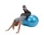 Gymnic Physio Roll Plus piłka fasolka do ćwiczeń